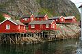 Norwegia (804)